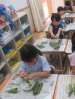 名称未設定のデザイン